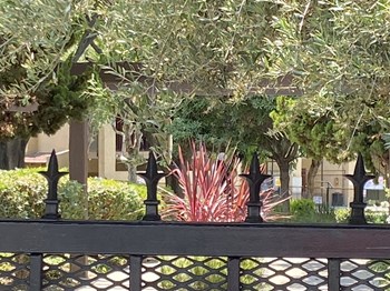259 North Capitol Avenue #254 2 Beds Condo for Rent - Photo Gallery 4