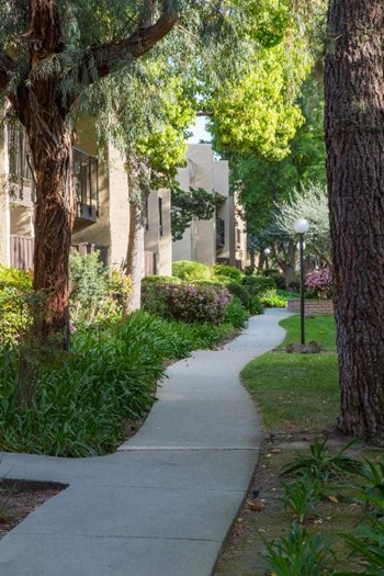 259 North Capitol Avenue #254 2 Beds Condo for Rent - Photo Gallery 3