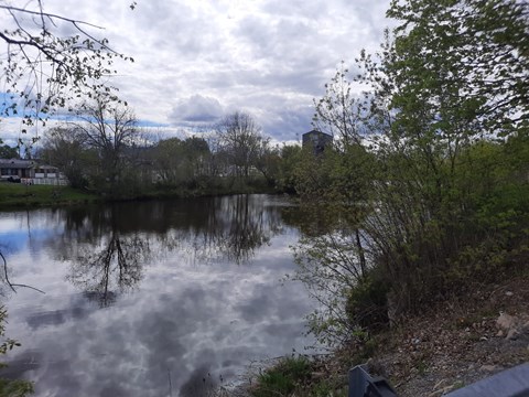 A serene lake surrounded by trees and a cloudy sky.