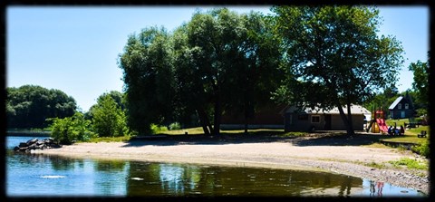 a campsite on the shore of a lake near a tree