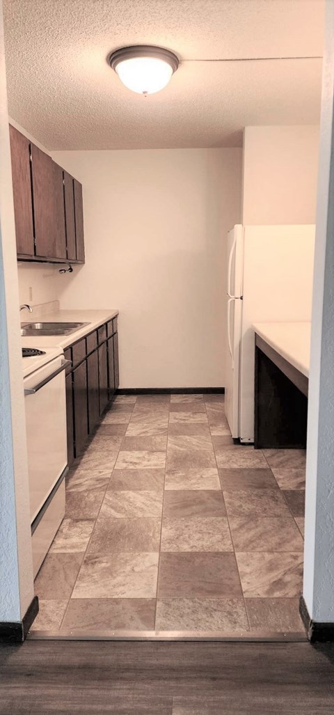 an empty kitchen with a refrigerator and a sink