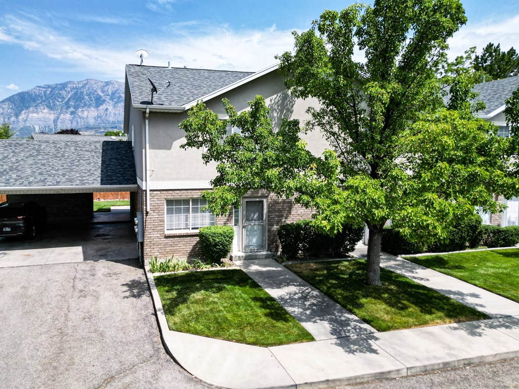 A house with a driveway and a tree in front of it.