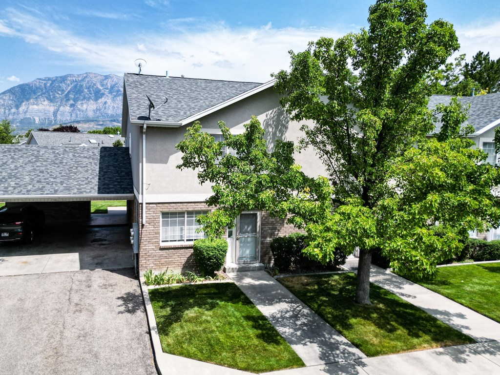 A house with a driveway and a tree in front.