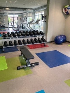 A gym with a bench, weights, and exercise balls.