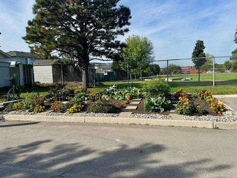 A residential area with a well-maintained garden in the foreground.