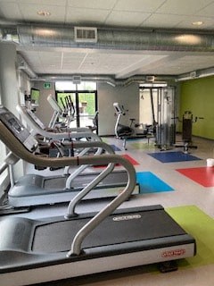 the gym is equipped with cardio equipment and weights