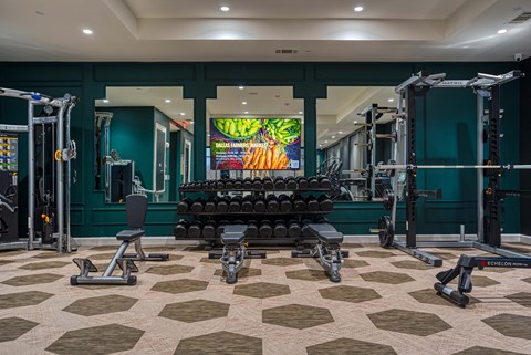 a gym with a large row of weights and cardio machines