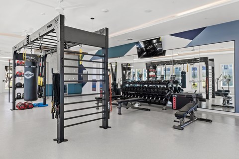 A gym with a variety of equipment including a squat rack, bench press, and a punching bag.