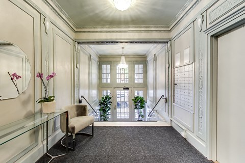 A hallway with a chair, a plant, and a mirror on the wall.