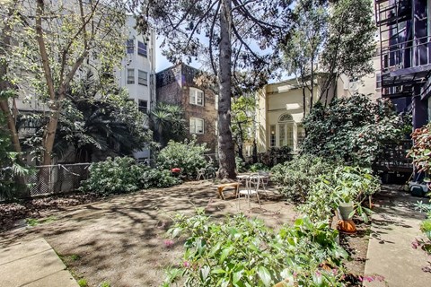 A backyard with a table and chairs surrounded by greenery.