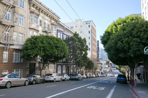 Cars parked on a street with a 5 lane bus lane.