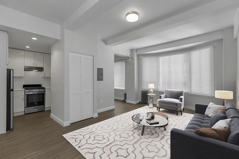 A modern living room with a grey couch and a patterned rug.