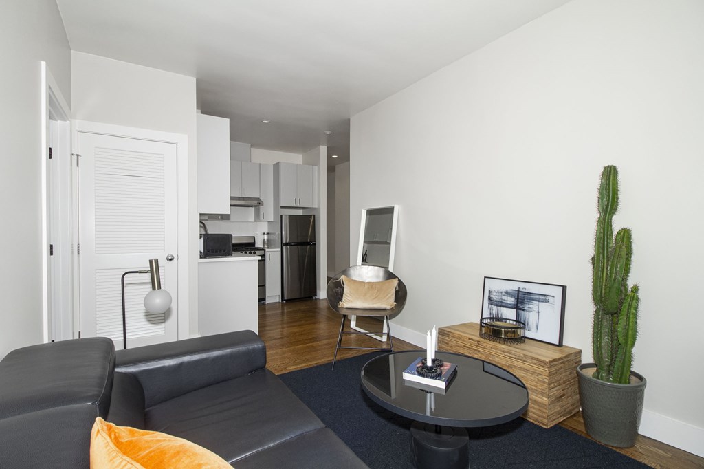 A living room with a grey couch, a black coffee table, and a cactus plant.