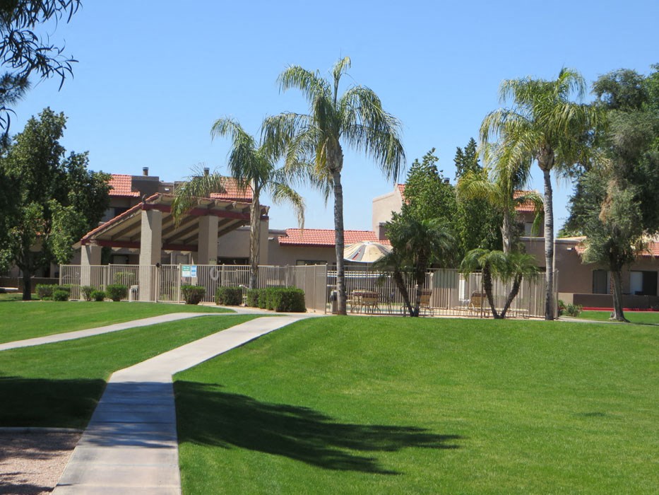 a building with palm trees and a sidewalk