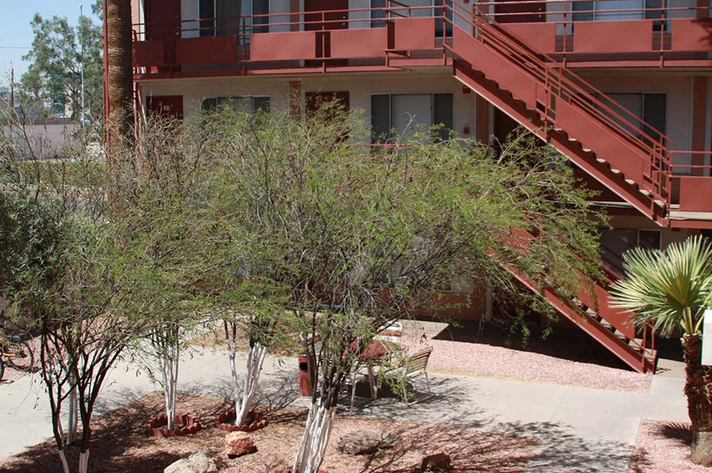 a courtyard with trees and a building with stairs