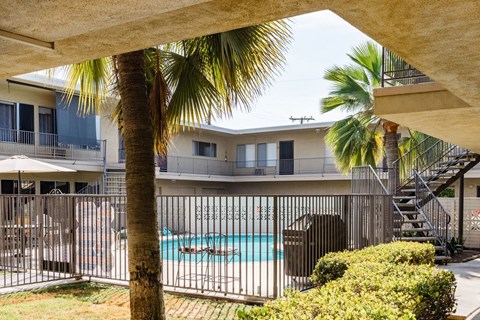 A pool surrounded by a fence and a palm tree.
