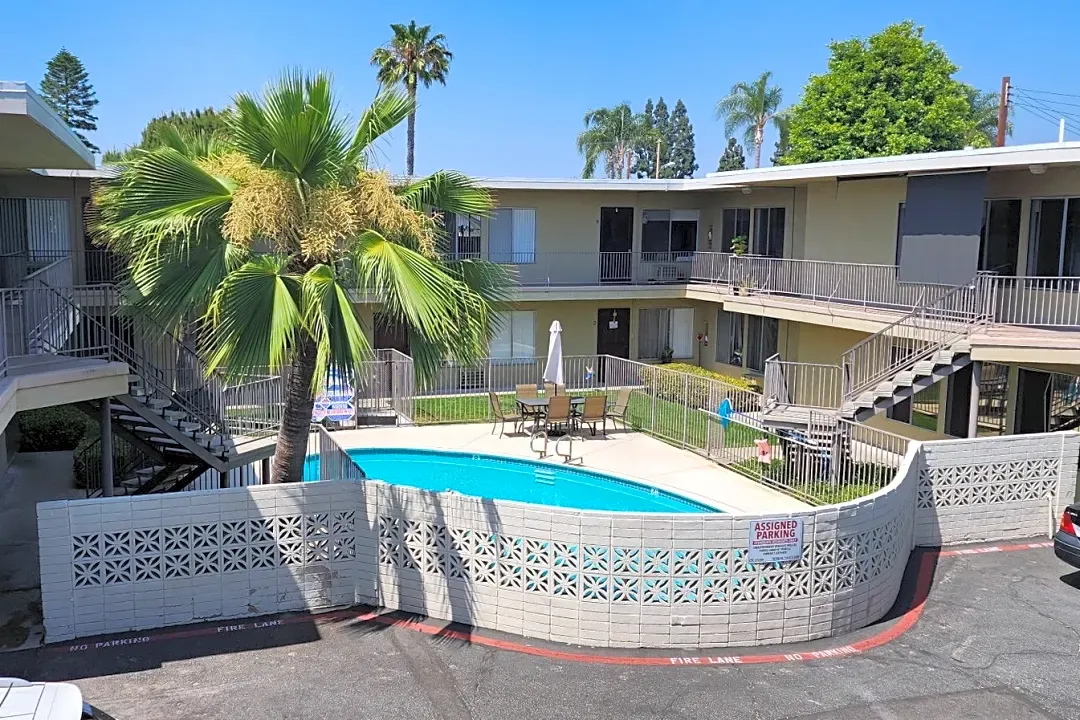 A pool surrounded by a white fence with a palm tree in the foreground.