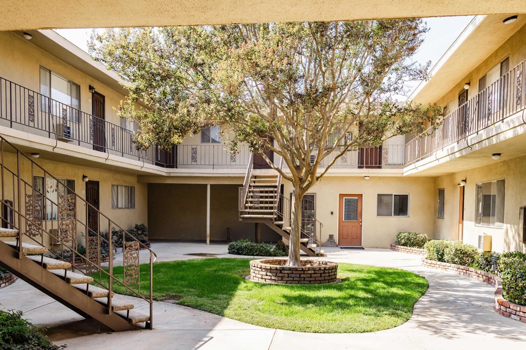 A courtyard with a tree, a staircase and a building in the background.
