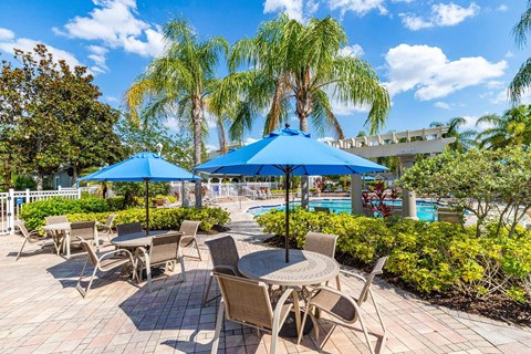 A poolside area with chairs and umbrellas.