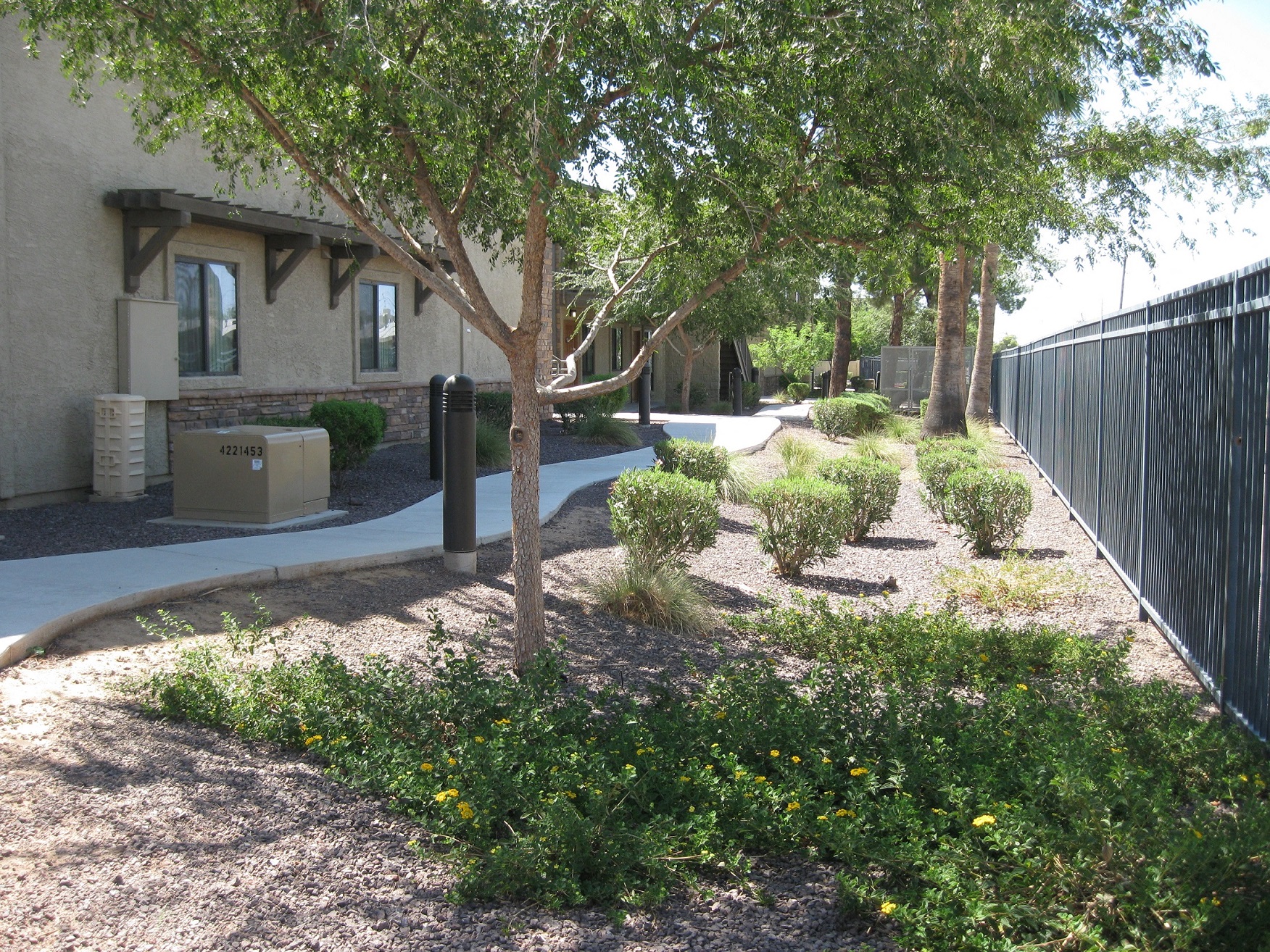 Dunlap & Magee North 17