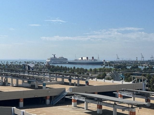 a view of a harbor with a cruise ship in the background