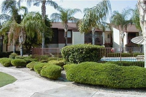 an apartment building with palm trees and a pool