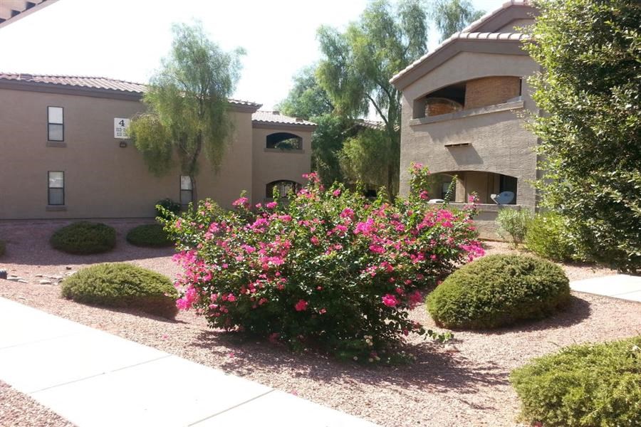 a house with pink flowers in front of it