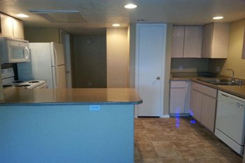 16802 N. 31st Street 2 Beds Apartment for Rent - Photo Gallery 3