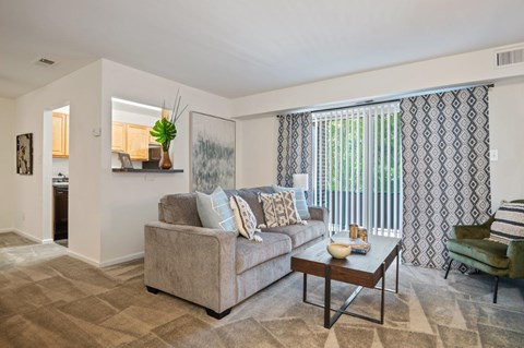 A living room with a grey couch and a patterned curtain.