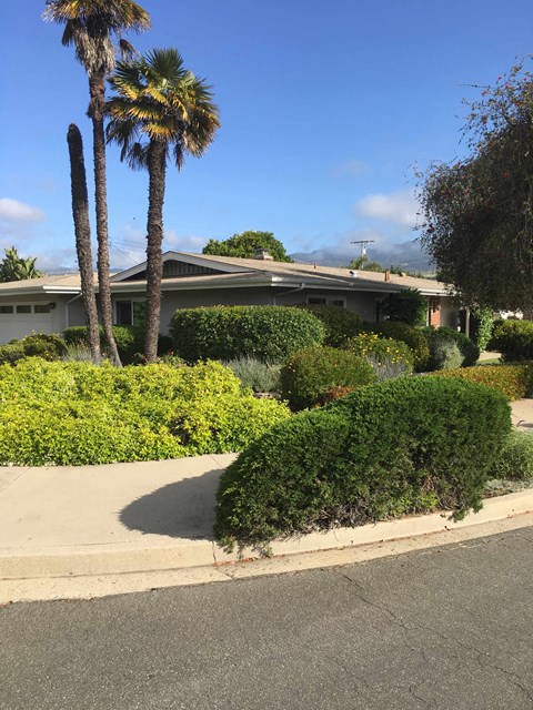 A house with a palm tree in front of it.