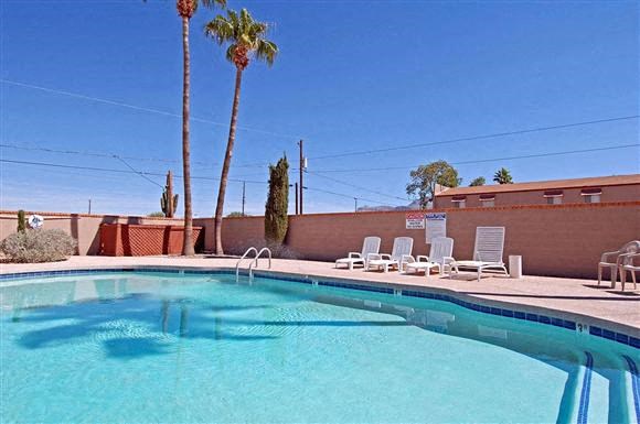 a swimming pool with palm trees and chairs