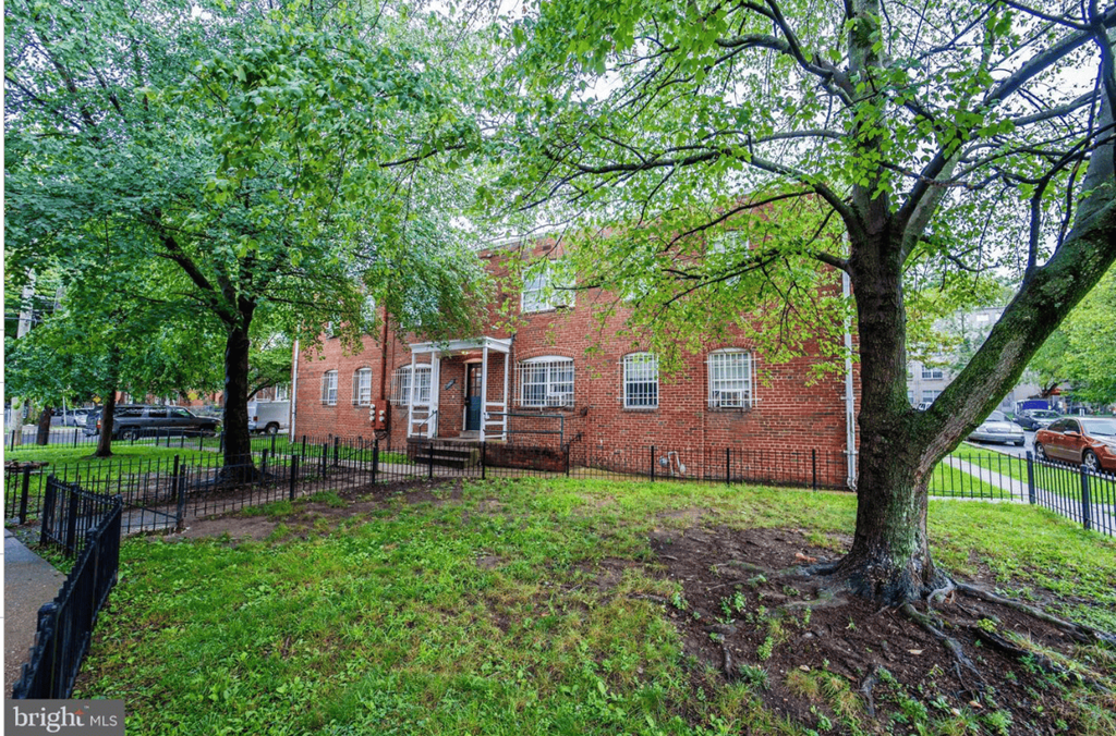 A tree in front of a brick building.
