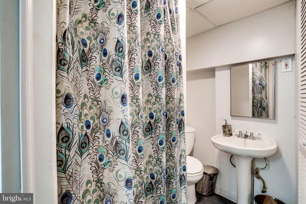 A bathroom with a white sink and a peacock shower curtain.