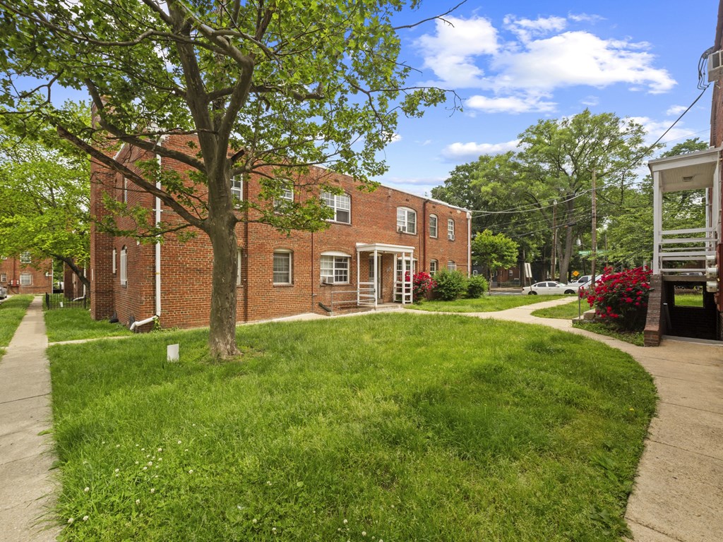 A tree in front of a red brick building.