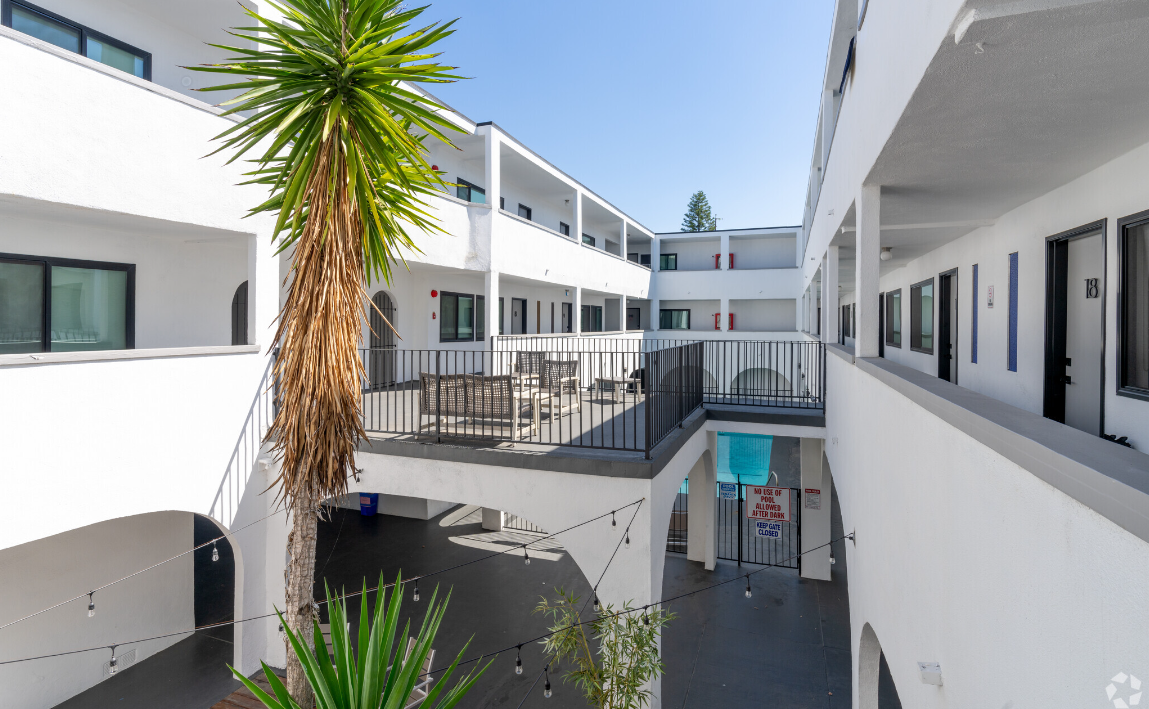A courtyard with a palm tree and a fence.