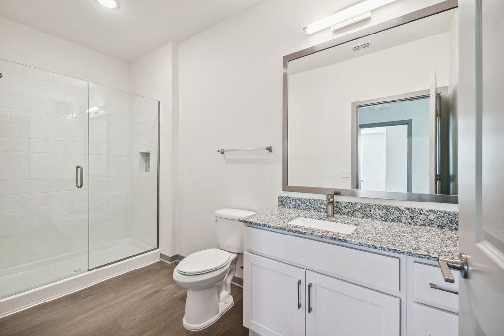 a bathroom with a shower toilet and a mirror