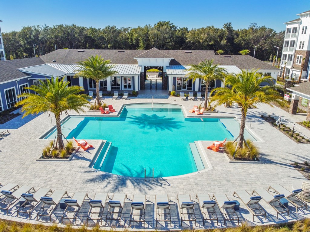 an aerial view of a pool with chairs and palm trees