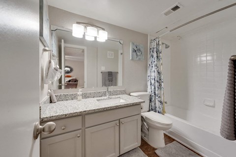 a bathroom with a sink and a toilet and a shower