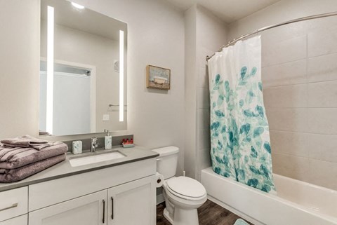 a bathroom with a shower curtain and a toilet and sink