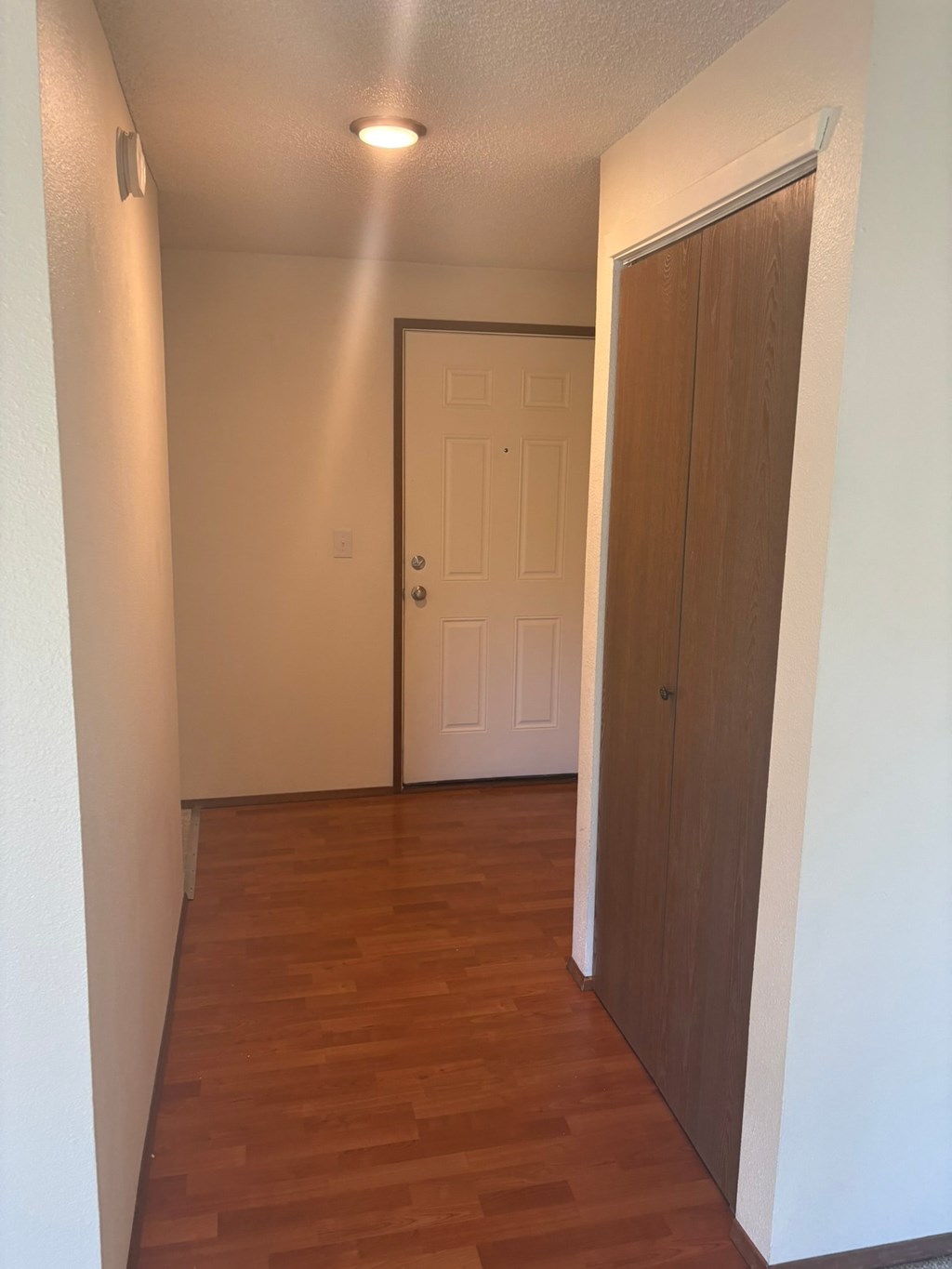 A hallway with a white door and a brown door.
