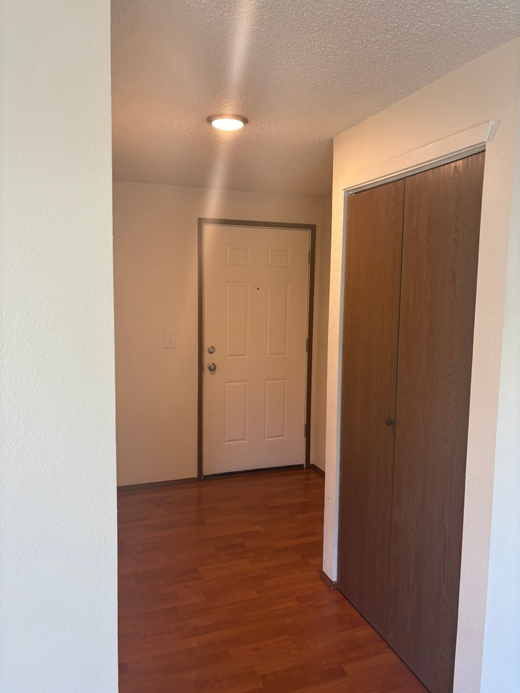 A hallway with a white door and a brown door.