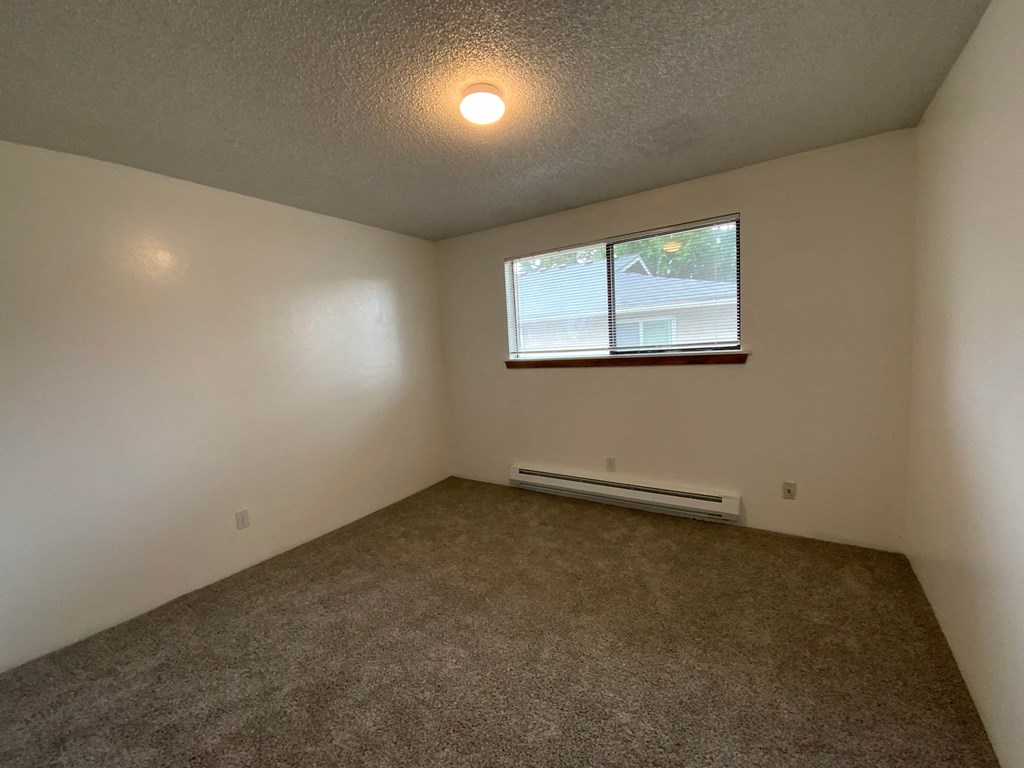 a room with a carpet and a window