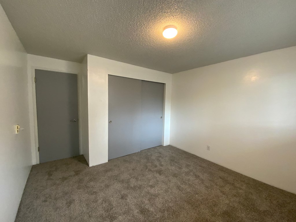 a living room with carpet and a door to a closet