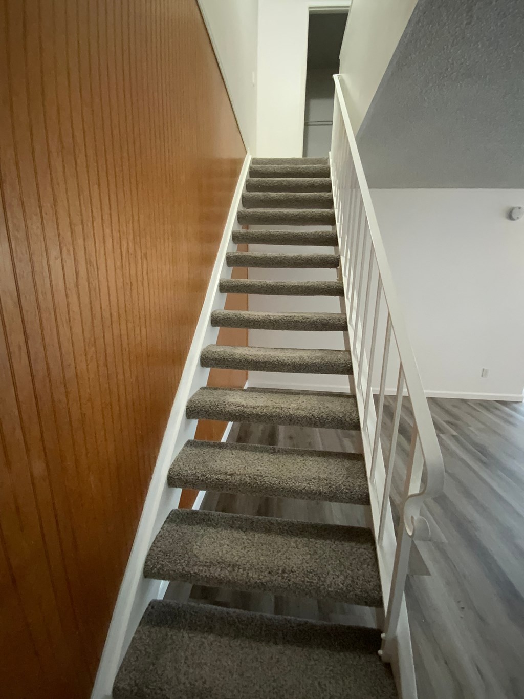 the carpeted stairs leading up to the second floor of a home