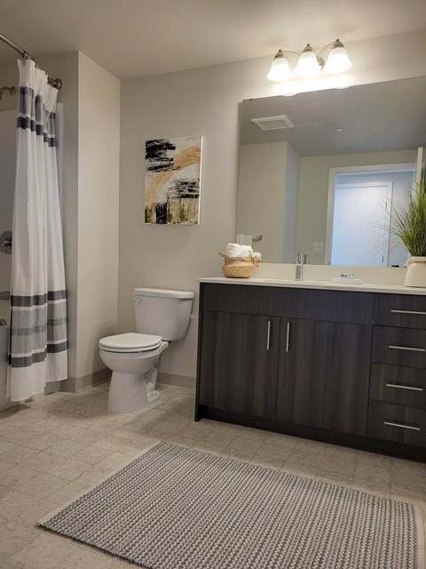 A bathroom with a toilet, a sink, and a rug.