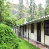 A green bush is in front of a building.