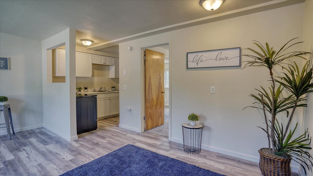 A room with a blue rug and a plant in a wicker basket.