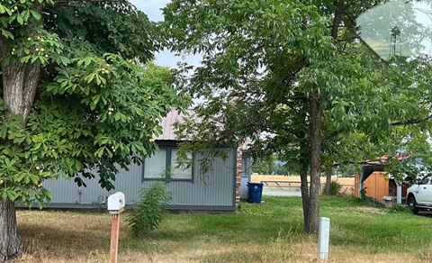 A tree in front of a grey building.