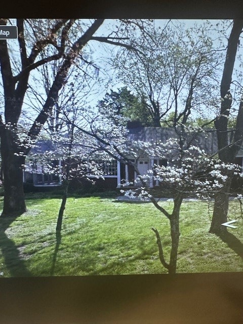 A tree with white flowers is in the foreground of a grassy area.