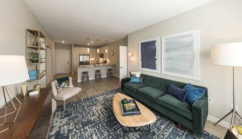 a living room with a green couch and a blue rug